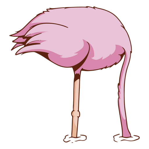 desenhos animados tropicais do flamingo