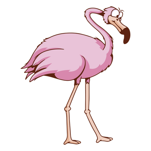 Desenho de pássaro animal flamingo Desenho PNG