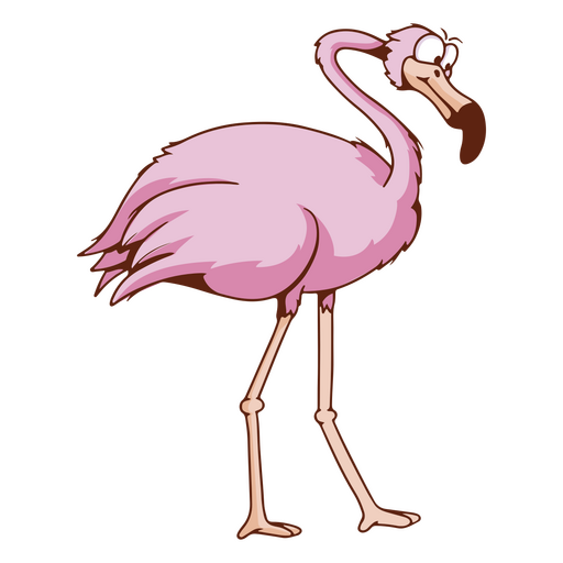 Flamingo animal bird cartoon PNG Design