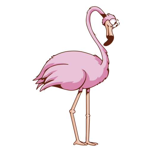 Desenho de animal de pássaro tropical flamingo Desenho PNG