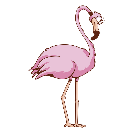 Tropischer Vogel-Tierkarikatur des Flamingos PNG-Design