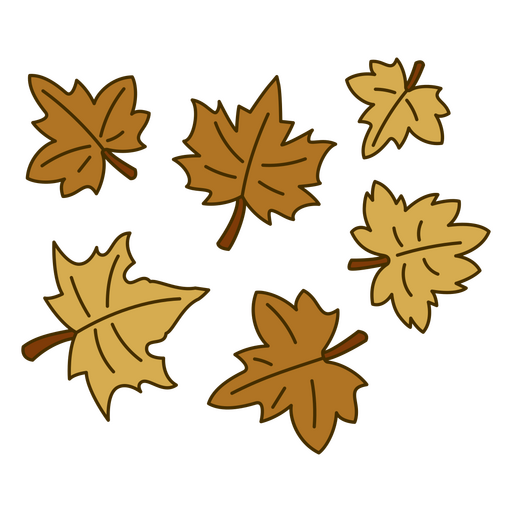 autumn maple leaf png