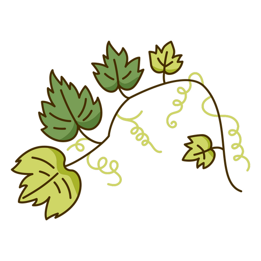 Ivy leaves branch PNG Design