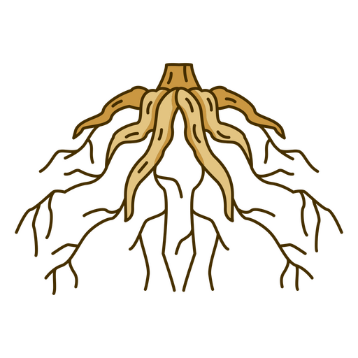 Tree roots design PNG Design