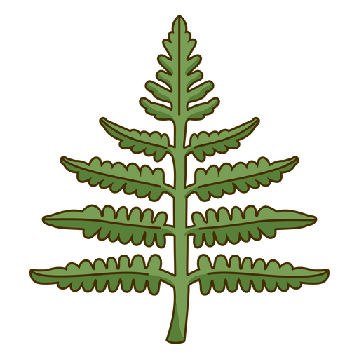 Fern leaf design PNG Design
