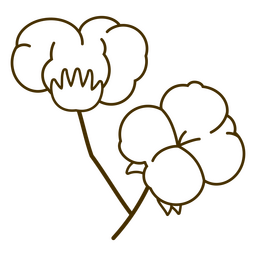 Planta de bola de algodão Desenho PNG
