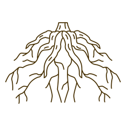 As raízes da árvore Desenho PNG