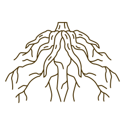 Tree's roots PNG Design