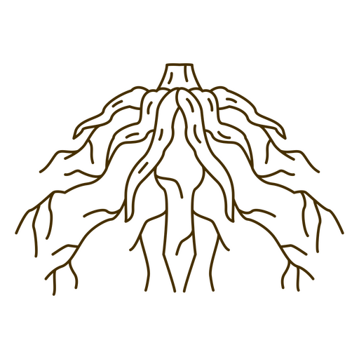 Die Wurzeln des Baumes PNG-Design