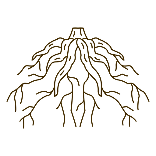 Tree's roots PNG Design