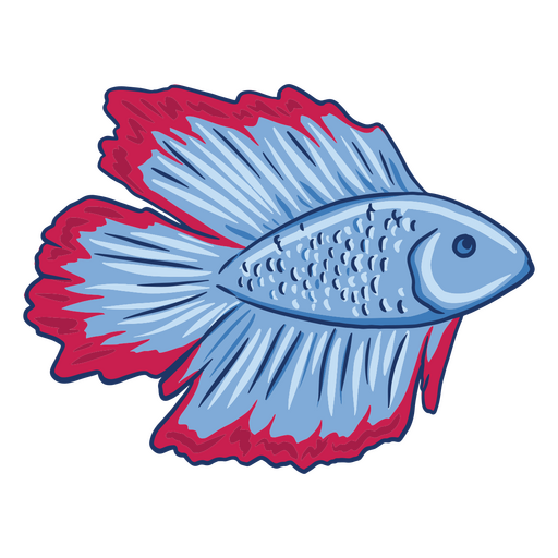 Detailliertes Design von Betta-Fischen PNG-Design