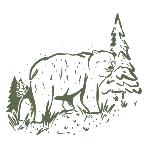 Urso selvagem na floresta Desenho PNG