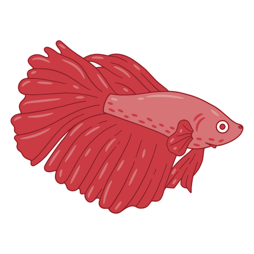 Red betta fish PNG Design