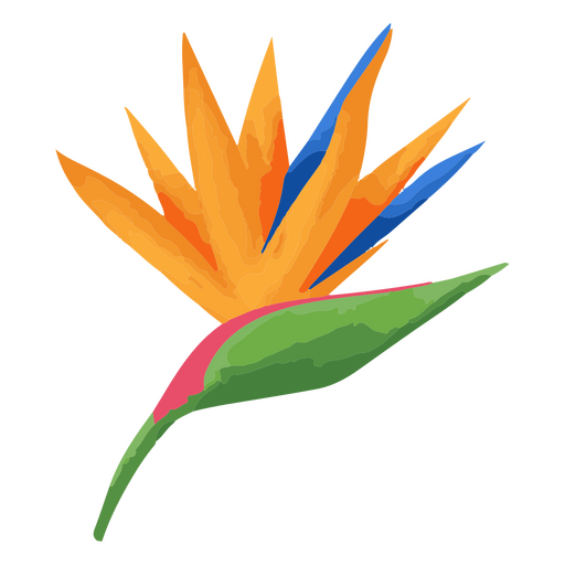 Ave del paraíso flor tropical Diseño PNG