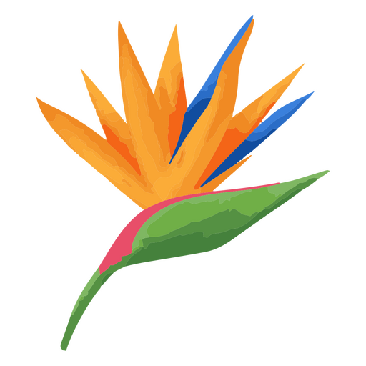 Flor tropical ave do paraíso Desenho PNG