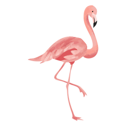 Flamingo tropical bird icon PNG Design