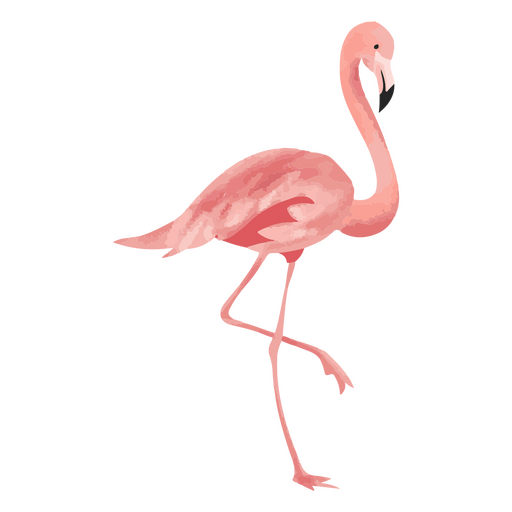 ícone de pássaro tropical flamingo Desenho PNG