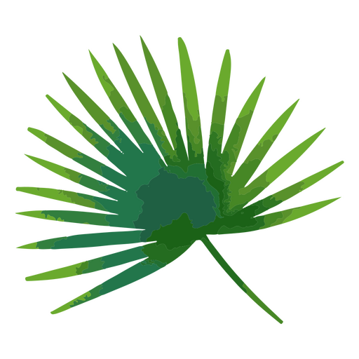 Tropisches Serenoa-Palmblatt PNG-Design