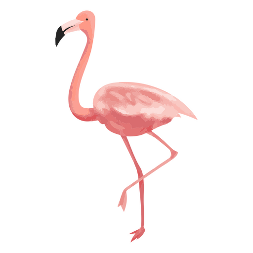 ícone de aquarela de flamingo Desenho PNG