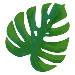 Monstera Leaf Tropical Plant PNG & SVG Design For T-Shirts