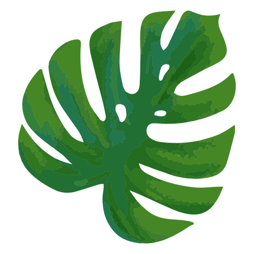 Monstera leaf tropical plant PNG Design