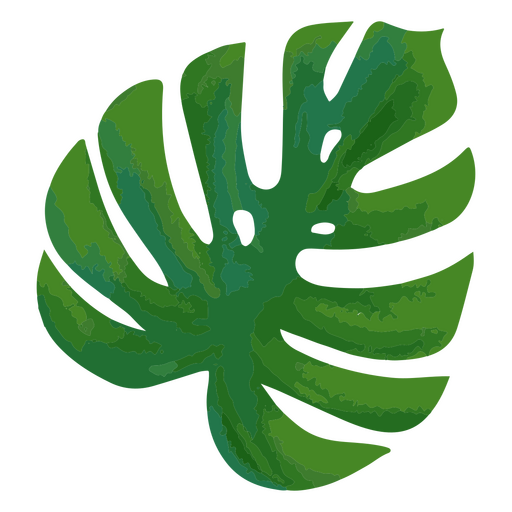 Tropische Pflanze mit Monstera-Blättern PNG-Design