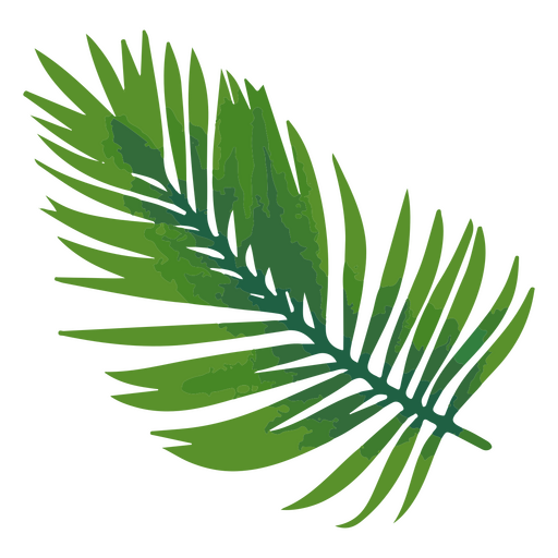 Palm-Zweig-Symbol PNG-Design