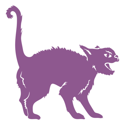 Die wütende Katze der Hexe PNG-Design
