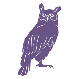 recorte detalhado de coruja Desenho PNG