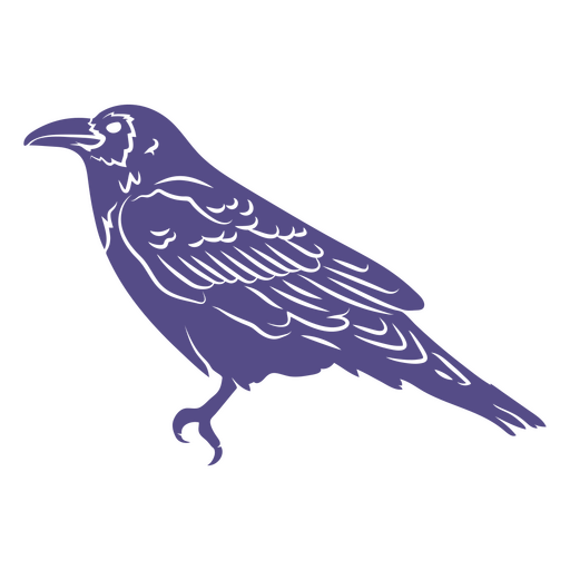 Recorte de cuervo detallado Diseño PNG
