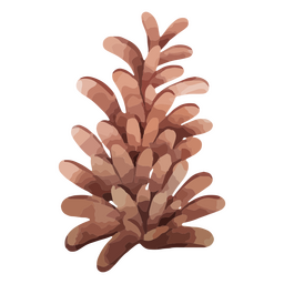 Winter weather pinecone nature PNG Design
