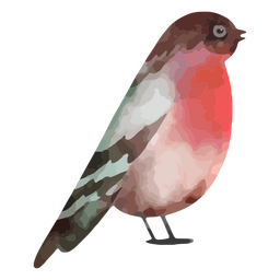 Invierno clima pájaro naturaleza Diseño PNG