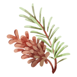 Winter weather pinecone nature watercolor PNG Design