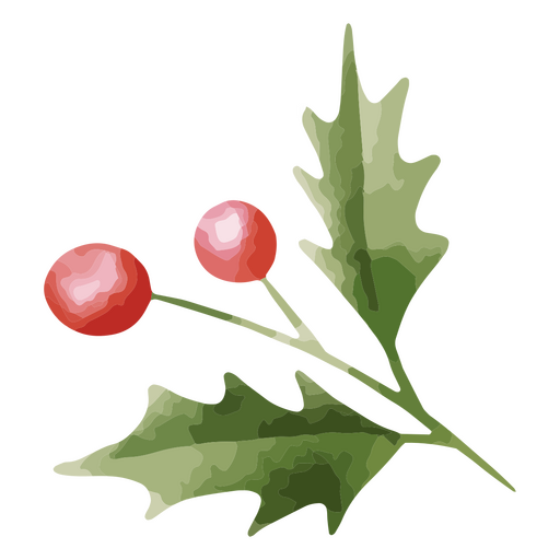 Holly branch PNG Design