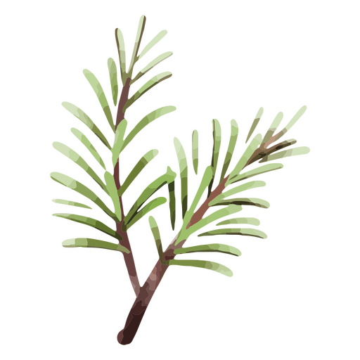 Rosemary branch PNG Design