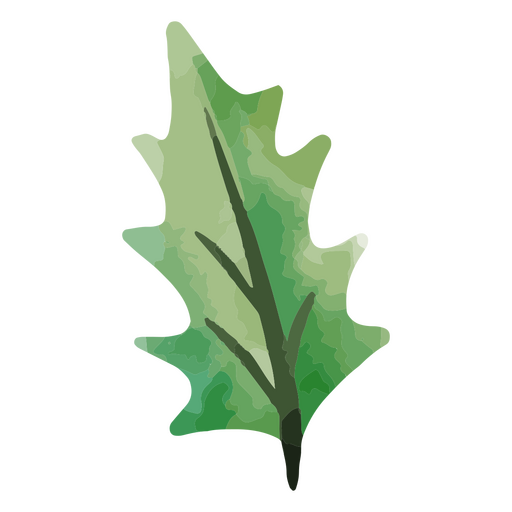 Watercolor holly leaf PNG Design