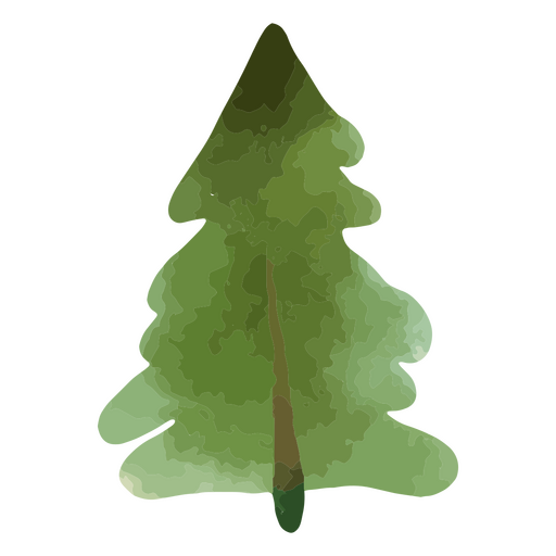 Watercolor pine tree PNG Design