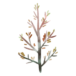 Rama de otoño acuarela Diseño PNG