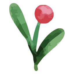 Tulip flower leaves PNG Design
