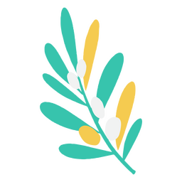 ramo de oliveira colorido Desenho PNG