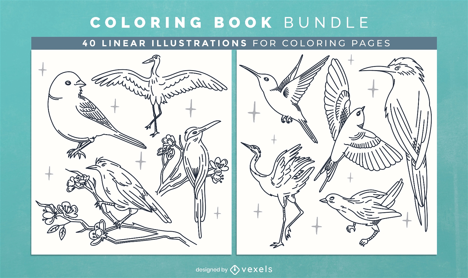 Bird animals coloring book pages design