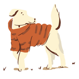 Cute winter clothes sweater dog PNG Design Transparent PNG