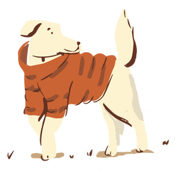Linda ropa de invierno suéter perro Diseño PNG