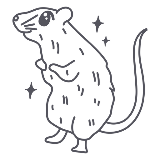 Rat drawing hi-res stock photography and images - Alamy