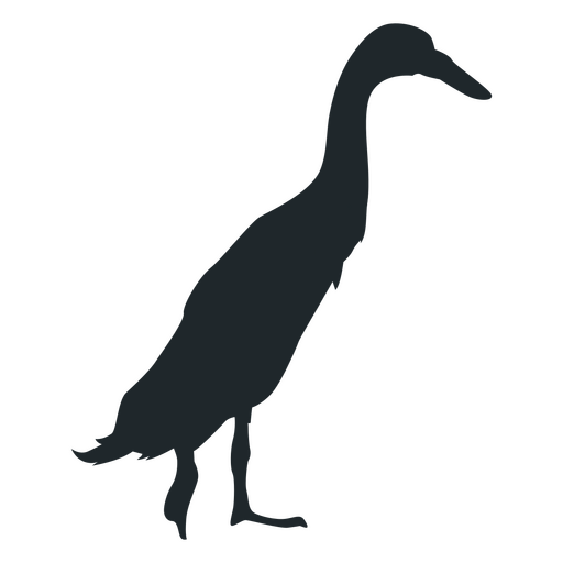 Duck black detailed silhouette PNG Design