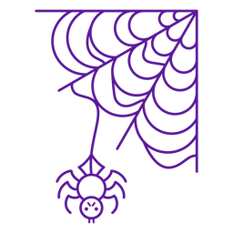 Linda araña en una telaraña Diseño PNG