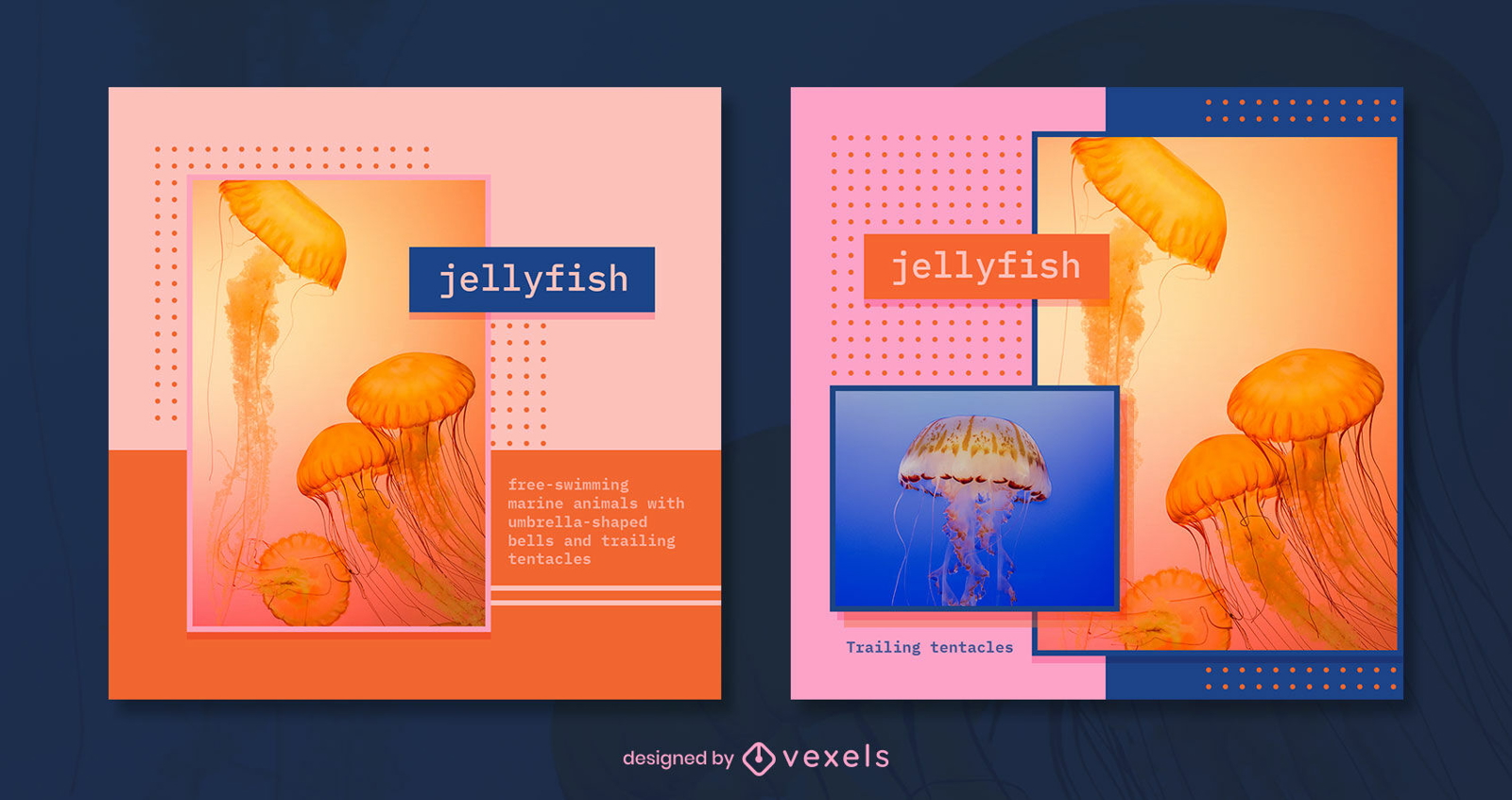 Mockups PSD De Publicacion De Instagram Editables Para Descargar