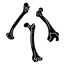 Ossos detalhados Desenho PNG