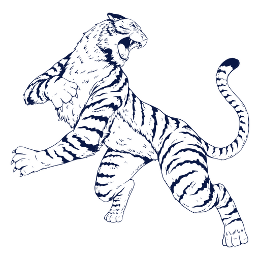 Tigre do zodíaco chinês Desenho PNG