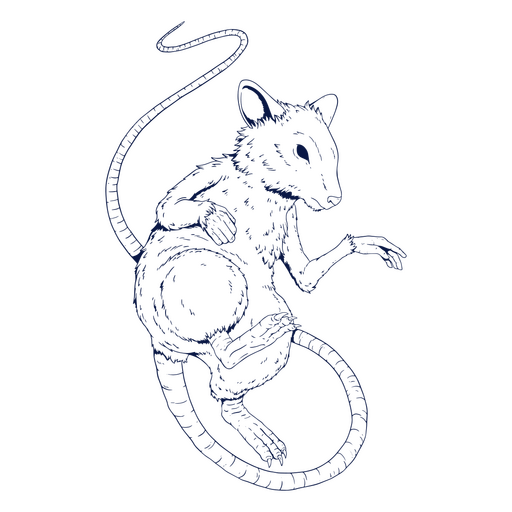 Chinesisches Tierkreiszeichen der Ratte PNG-Design